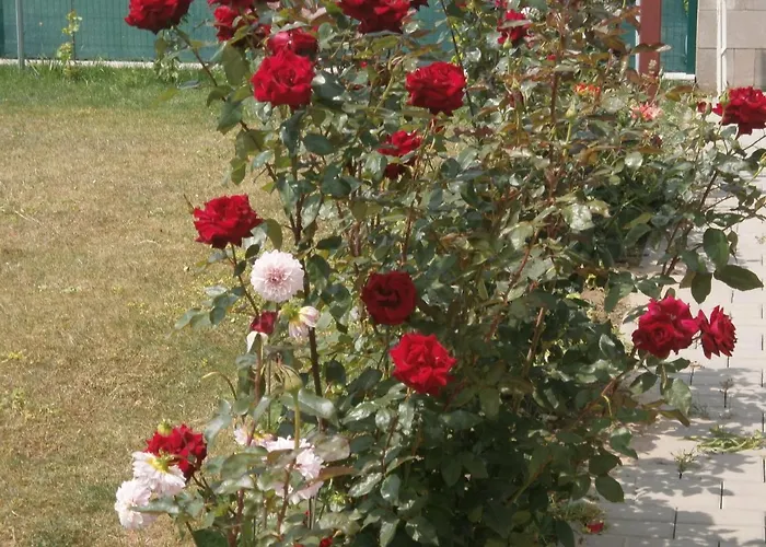 Apartman Garden